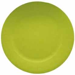 Vaisselle Jetable|Pique-Nique Et Camping|LE NAPPAGE 10 assiettes en carton anis