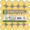Jardinage Et Entretien Du Jardin|Pique-Nique Et Camping|DECLIC GARDEN 50 chauffe-plats à la citronnelle