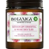 Produits Ménagers|AIRWICK Bougie géranium et rose