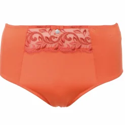 Lingerie Et Vêtements De Nuit|GERARD PASQUIER CULOTTE HAUTE BRODERIE ROUILLE Orange