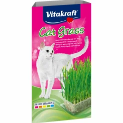 Animalerie|Stokomani Herbe à chat