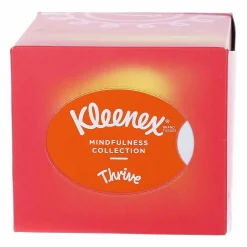 Hygiène|KLEENEX Lot de 3 cube de 48 mouchoirs