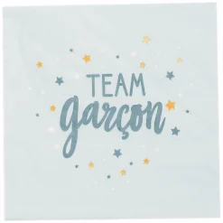 Vaisselle Jetable|Pique-Nique Et Camping|Stokomani Set de 20 serviettes en papier Team garçon
