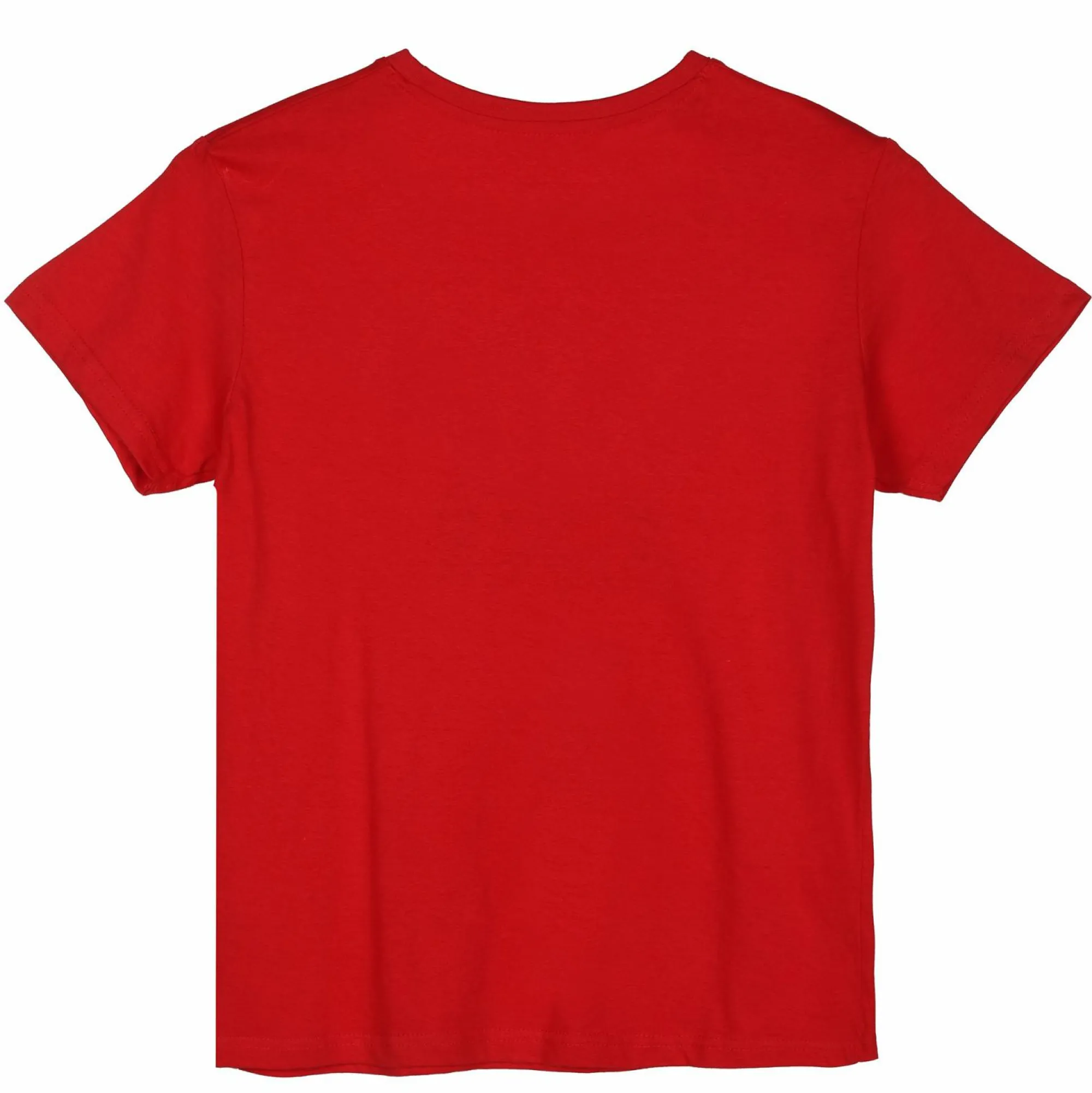 Hauts|LA FABRIQUE DES GARCONS TEE SHIRT MC AVEC ANIMATION 3/6A